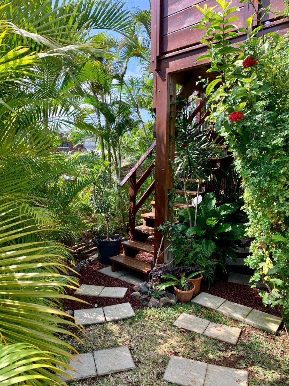 P'Ti Coin Zen Lägenhet Saint-Gilles-les Bains Exteriör bild